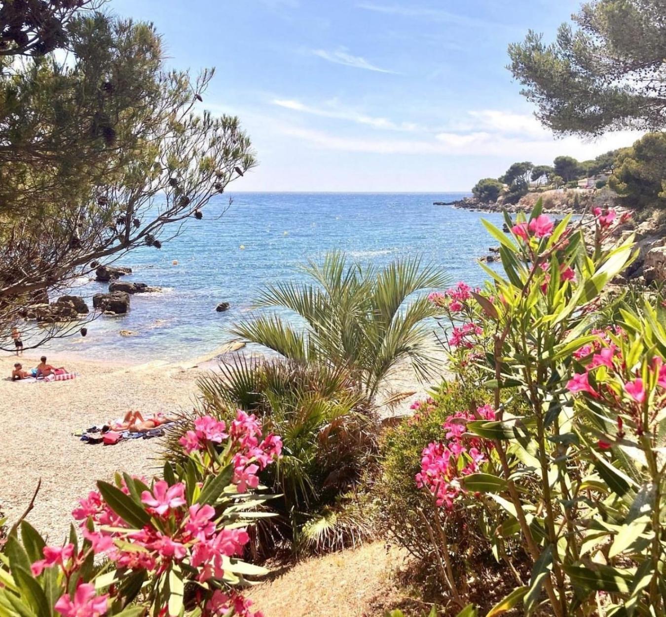Logement Vue Mer Splendide - Situe A 50 Metres Du Bord De Mer Et 2 Minutes Des Plages - Bandolina Eksteriør billede