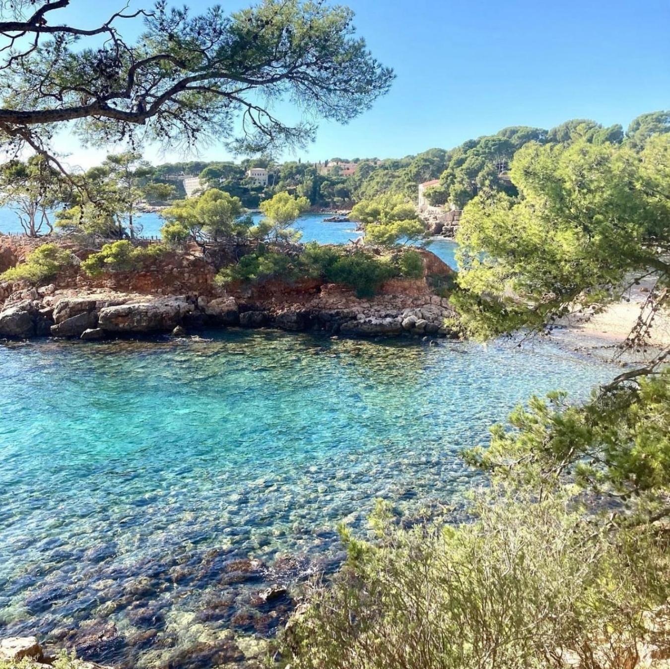 Logement Vue Mer Splendide - Situe A 50 Metres Du Bord De Mer Et 2 Minutes Des Plages - Bandolina Eksteriør billede